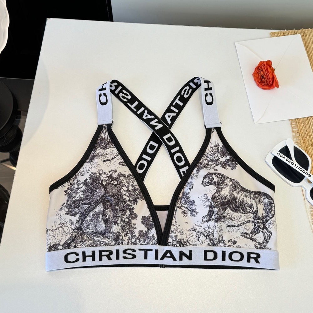 Dior bikini - Picture 5 of 5